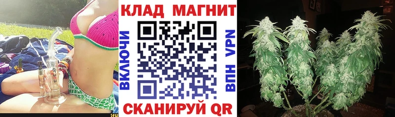 Продажа наркотиков Заволжск ГАШ  Каннабис  кракен как зайти  Меф  Галлюциногенные грибы  A PVP  COCAIN  АМФ 