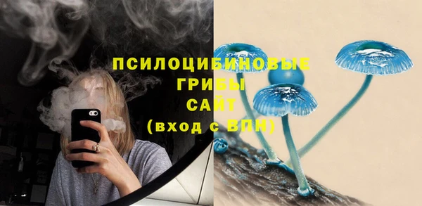 крисы Армянск