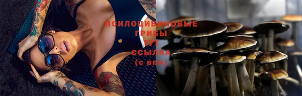 мескалин Алексеевка