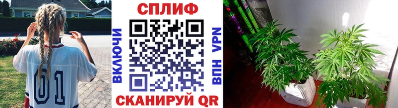 даркнет сайт  Заволжск  Бошки марихуана SATIVA & INDICA 